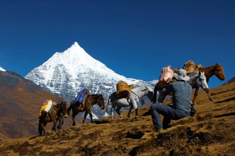 A hiker with pack horses traverses the rugged terrain against a backdrop of a snowy mountain peak in Bhutan.